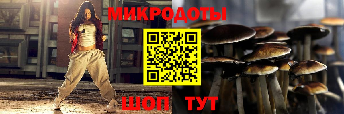 Псилоцибиновые грибы Cubensis Богданович