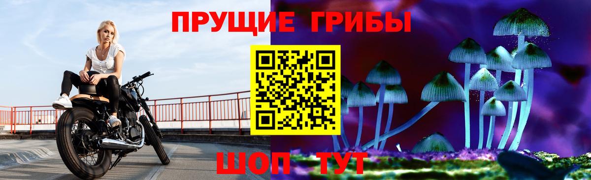 Богданович  Галлюциногенные грибы мицелий  Вход с VPN 